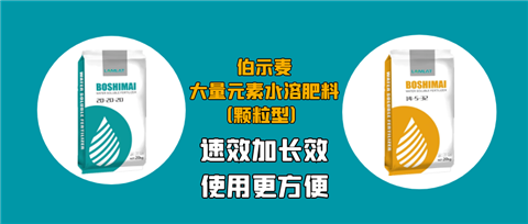 顆粒肥，拉姆拉，翠姆