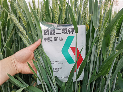 葉面肥，水溶肥，磷酸二氫鉀