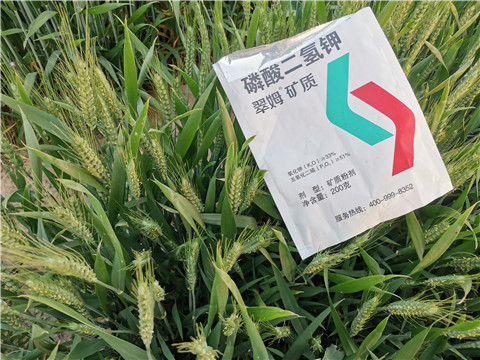 水溶肥，拉姆拉，翠姆