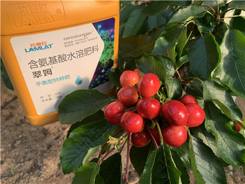 水溶肥，拉姆拉，翠姆