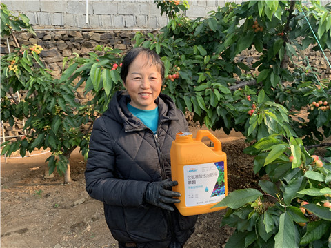 水溶肥，拉姆拉，翠姆