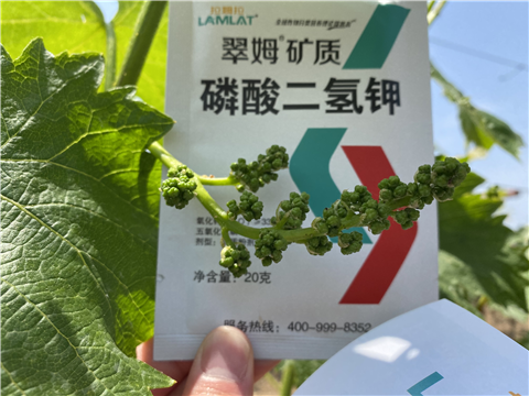 磷酸二氫鉀，拉姆拉，翠姆