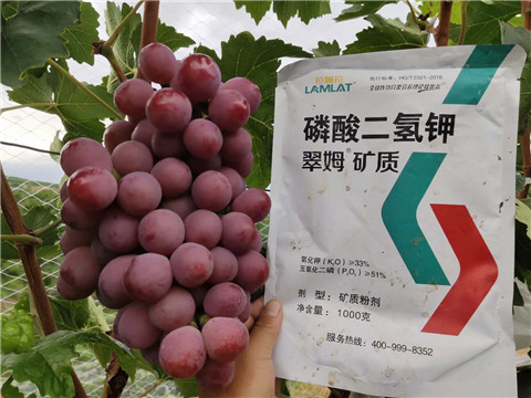 磷酸二氫鉀，拉姆拉，翠姆