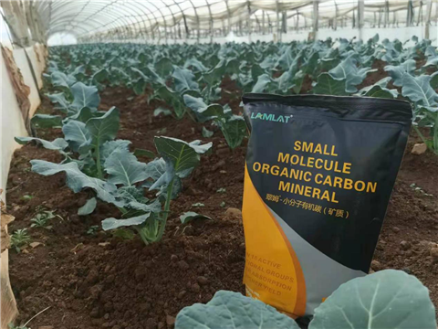 小分子有機(jī)碳，拉姆拉，翠姆