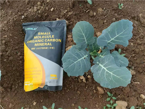 小分子有機(jī)碳，拉姆拉，翠姆