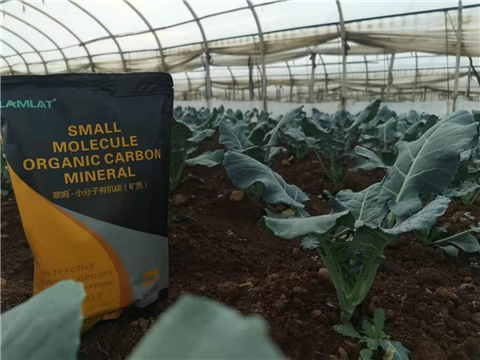 小分子有機(jī)碳，拉姆拉，翠姆