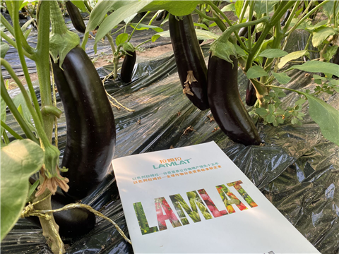 水溶肥，拉姆拉，翠姆