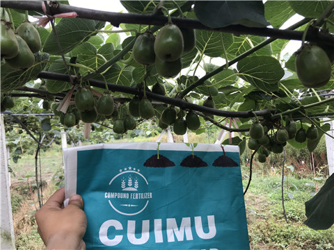 顆粒水溶肥，拉姆拉，翠姆