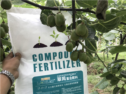 顆粒水溶肥，拉姆拉，翠姆