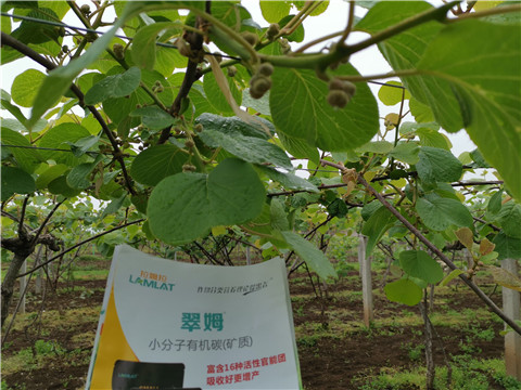 小分子有機碳，拉姆拉，翠姆