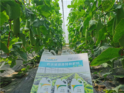 水溶肥，拉姆拉，翠姆