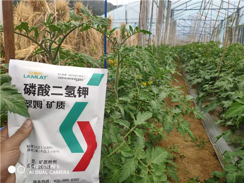 磷酸二氫鉀，拉姆拉，翠姆