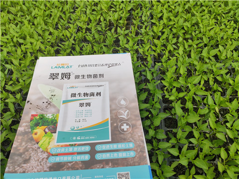 水溶肥，拉姆拉，翠姆