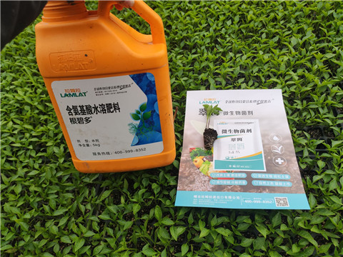 水溶肥，拉姆拉，翠姆