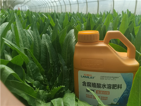 沖施肥，拉姆拉，翠姆