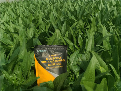 礦源黃腐酸鉀，拉姆拉，翠姆