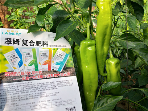 辣椒，拉姆拉，翠姆