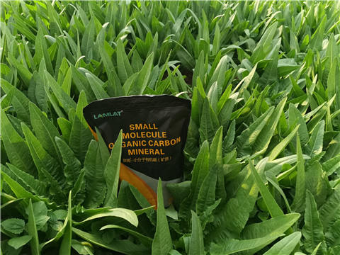 礦源黃腐酸鉀，拉姆拉，翠姆