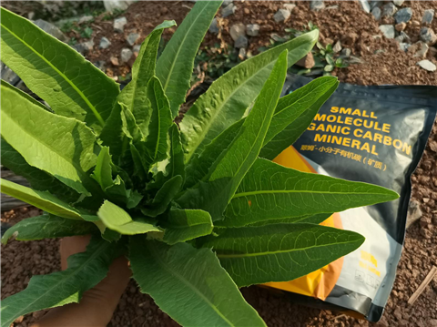 礦源黃腐酸鉀，拉姆拉，翠姆