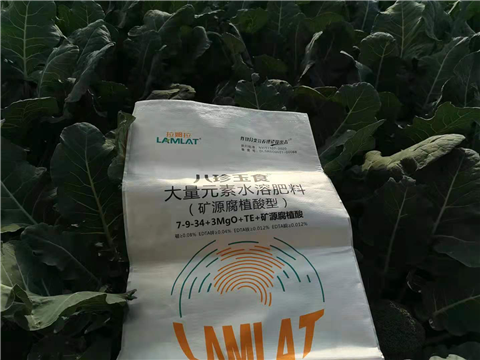 大量元素水溶肥，拉姆拉，翠姆