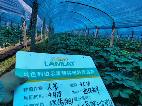 水溶肥，拉姆拉，翠姆