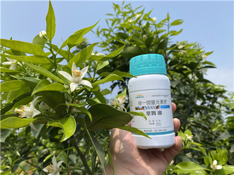 硼肥，拉姆拉，翠姆