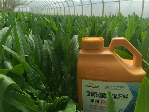 水溶肥，翠姆，拉姆拉
