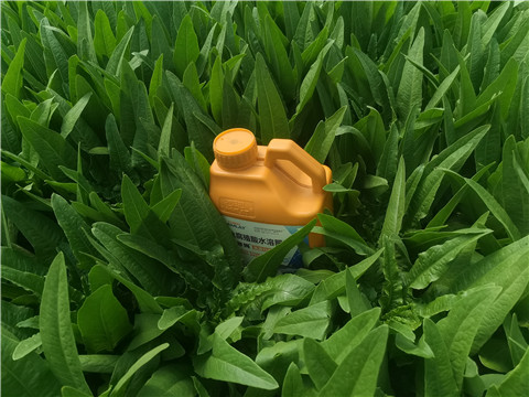 水溶肥，翠姆，拉姆拉