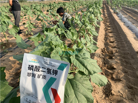 水溶肥，翠姆，拉姆拉