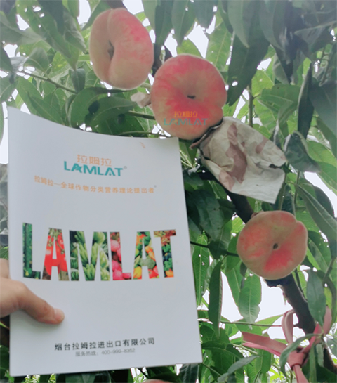 水溶肥，翠姆，拉姆拉