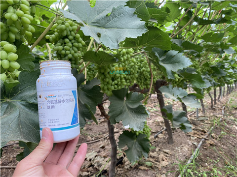 水溶肥，翠姆，拉姆拉