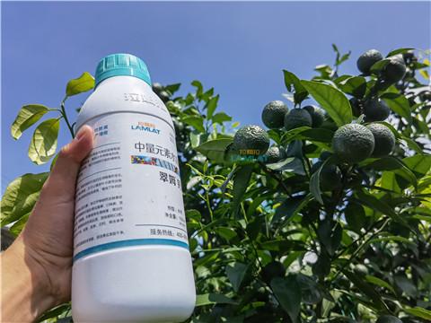 水溶肥，翠姆，拉姆拉