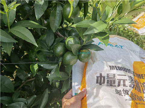 水溶肥，翠姆，拉姆拉