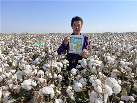 水溶肥，翠姆，拉姆拉