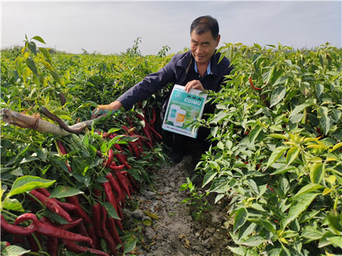 水溶肥，翠姆，拉姆拉