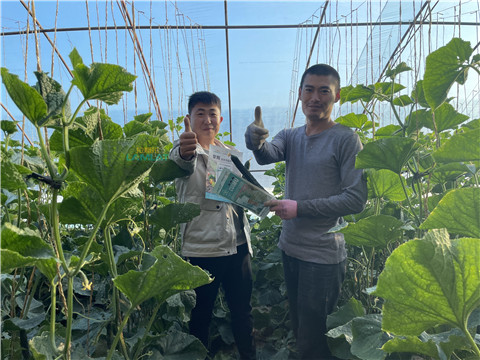 水溶肥，翠姆，拉姆拉