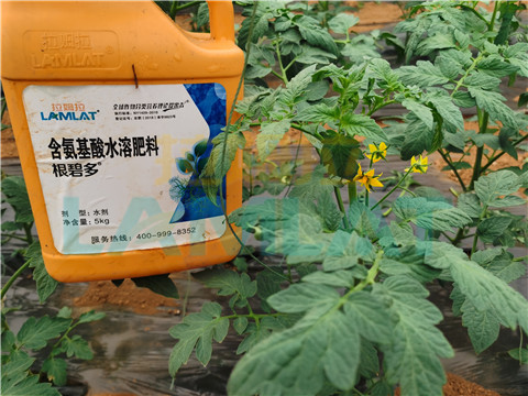 水溶肥，翠姆，拉姆拉