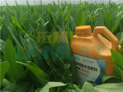 水溶肥，翠姆，拉姆拉
