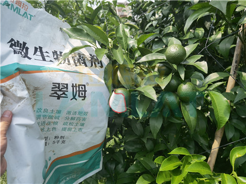 微生物菌劑，翠姆，拉姆拉