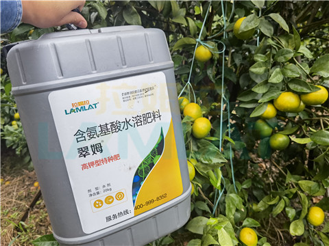 水溶肥，拉姆拉，翠姆