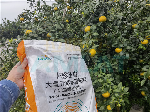 水溶肥，拉姆拉，翠姆