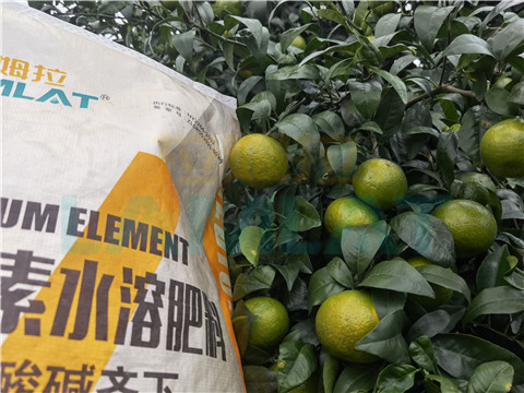 水溶肥，拉姆拉，翠姆