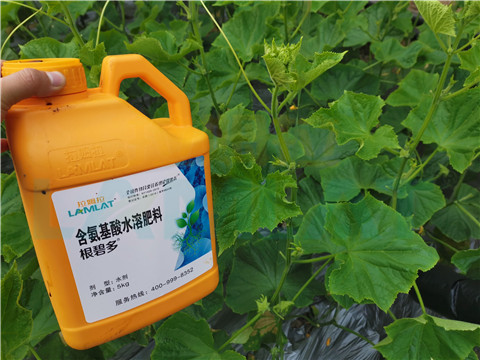 水溶肥，拉姆拉，翠姆