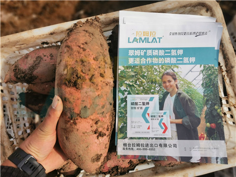 水溶肥，拉姆拉，翠姆