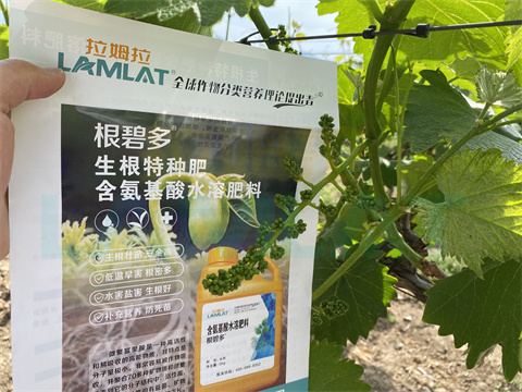 水溶肥，拉姆拉，翠姆