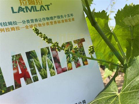水溶肥，拉姆拉，翠姆
