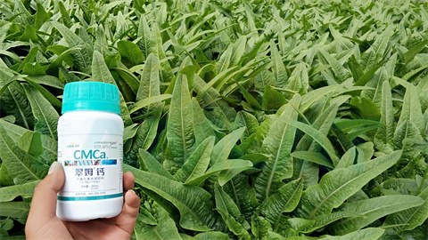 水溶肥，拉姆拉，翠姆