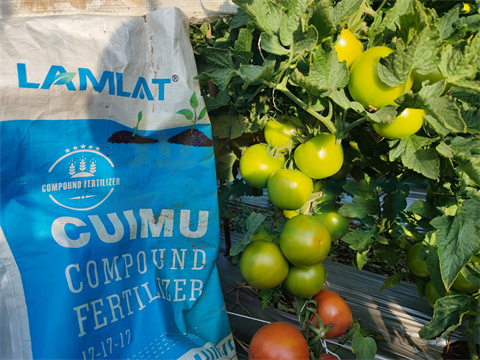 水溶肥，拉姆拉，翠姆