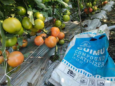 水溶肥，拉姆拉，翠姆