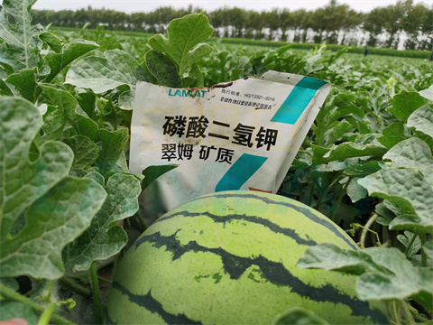 水溶肥，拉姆拉，翠姆